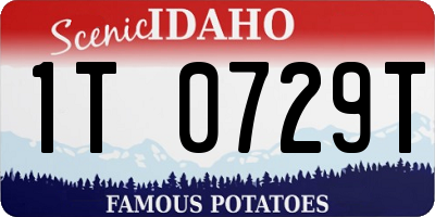 ID license plate 1T0729T