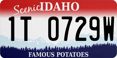 ID license plate 1T0729W