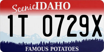 ID license plate 1T0729X
