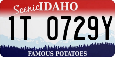 ID license plate 1T0729Y
