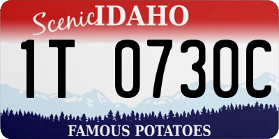 ID license plate 1T0730C