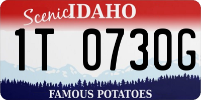ID license plate 1T0730G