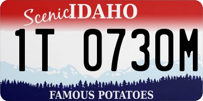 ID license plate 1T0730M