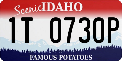 ID license plate 1T0730P