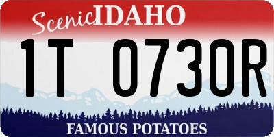 ID license plate 1T0730R