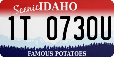 ID license plate 1T0730U
