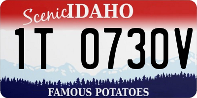 ID license plate 1T0730V