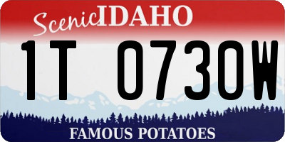 ID license plate 1T0730W