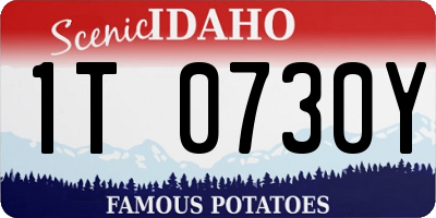 ID license plate 1T0730Y