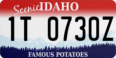 ID license plate 1T0730Z
