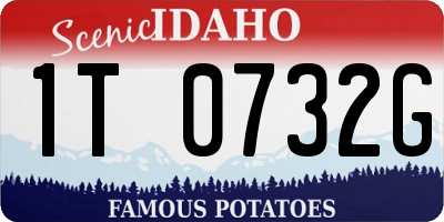 ID license plate 1T0732G