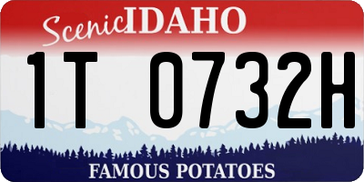 ID license plate 1T0732H