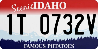 ID license plate 1T0732V