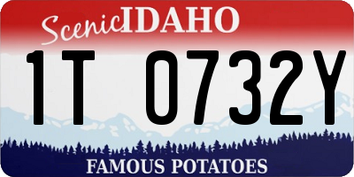 ID license plate 1T0732Y