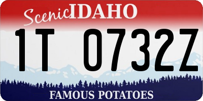 ID license plate 1T0732Z