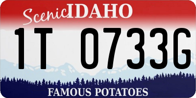 ID license plate 1T0733G