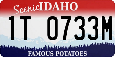 ID license plate 1T0733M