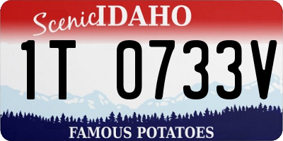 ID license plate 1T0733V