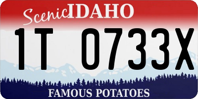 ID license plate 1T0733X