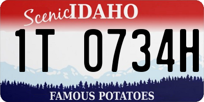 ID license plate 1T0734H