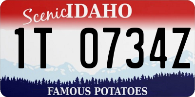 ID license plate 1T0734Z