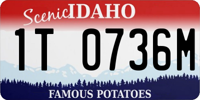 ID license plate 1T0736M