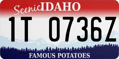 ID license plate 1T0736Z