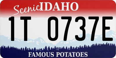 ID license plate 1T0737E