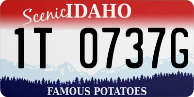 ID license plate 1T0737G