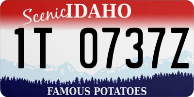 ID license plate 1T0737Z