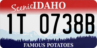 ID license plate 1T0738B