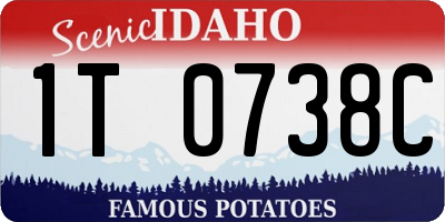 ID license plate 1T0738C
