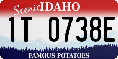 ID license plate 1T0738E