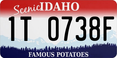 ID license plate 1T0738F