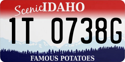 ID license plate 1T0738G