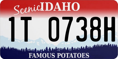 ID license plate 1T0738H