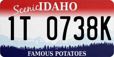 ID license plate 1T0738K