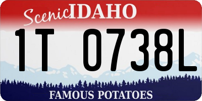 ID license plate 1T0738L