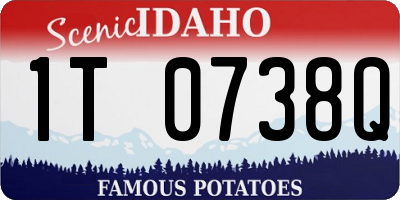 ID license plate 1T0738Q