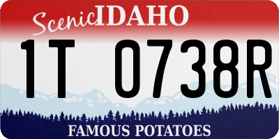 ID license plate 1T0738R