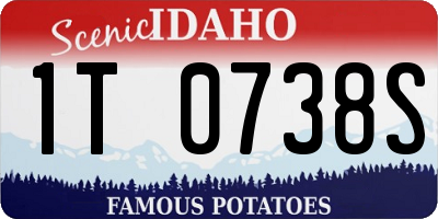 ID license plate 1T0738S
