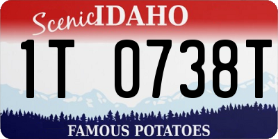 ID license plate 1T0738T