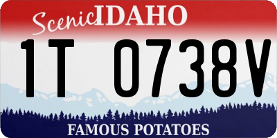 ID license plate 1T0738V