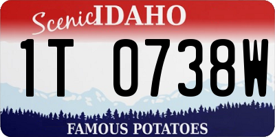ID license plate 1T0738W
