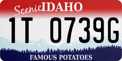 ID license plate 1T0739G