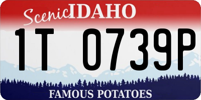 ID license plate 1T0739P