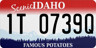 ID license plate 1T0739Q