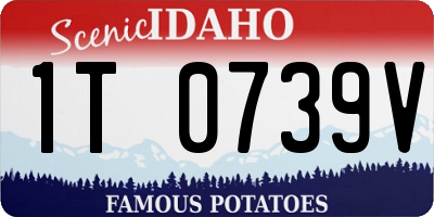 ID license plate 1T0739V