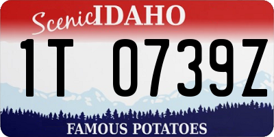ID license plate 1T0739Z