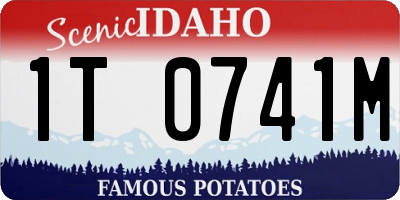 ID license plate 1T0741M